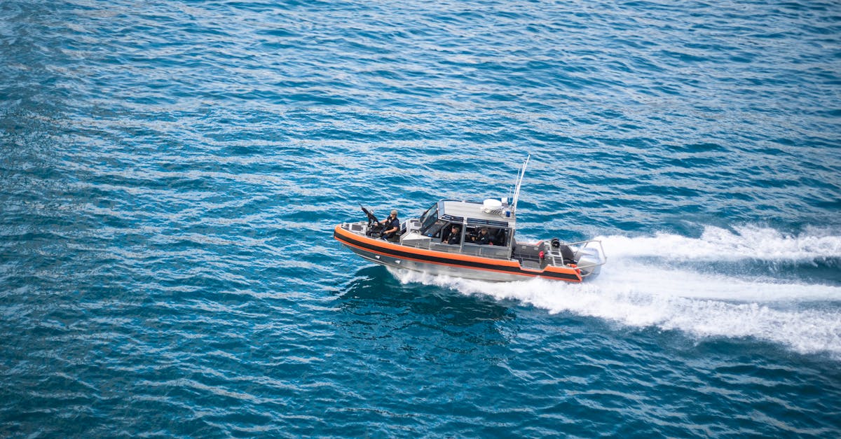 如何使用数据可视化来提高SEO价值