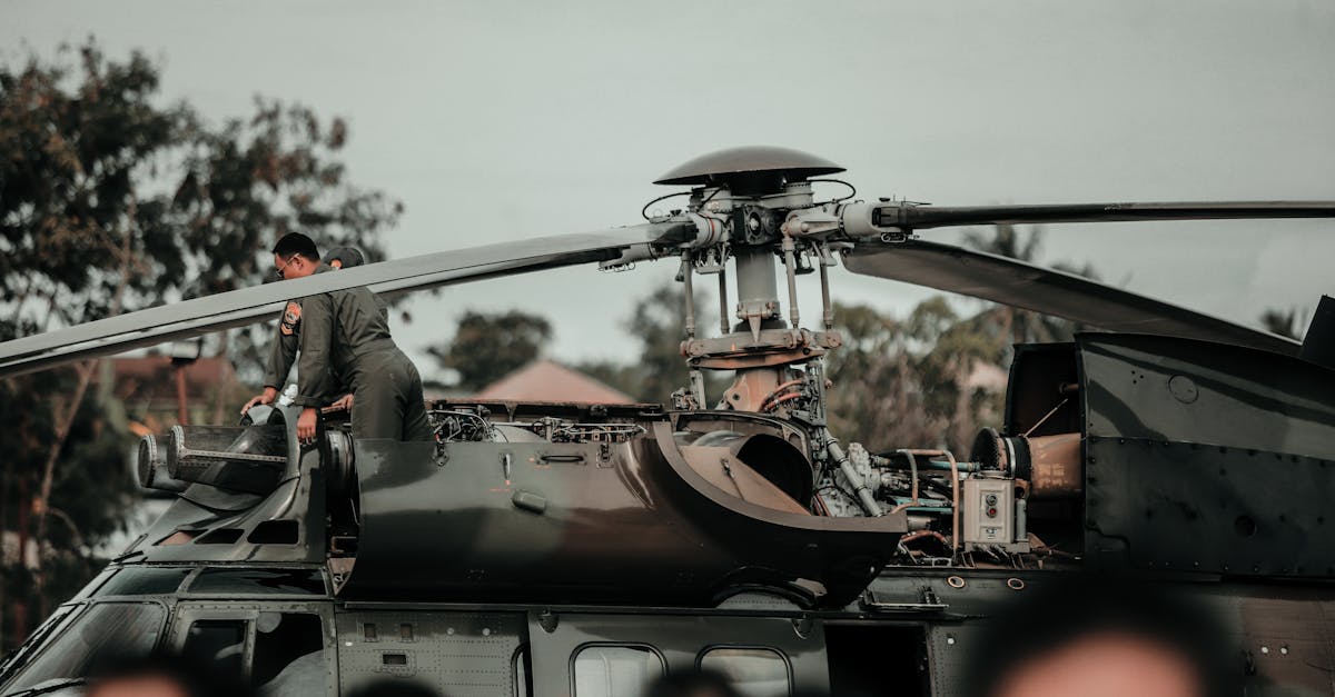 另一个伊甸：超越时空的猫：详情下载教程闪送员app