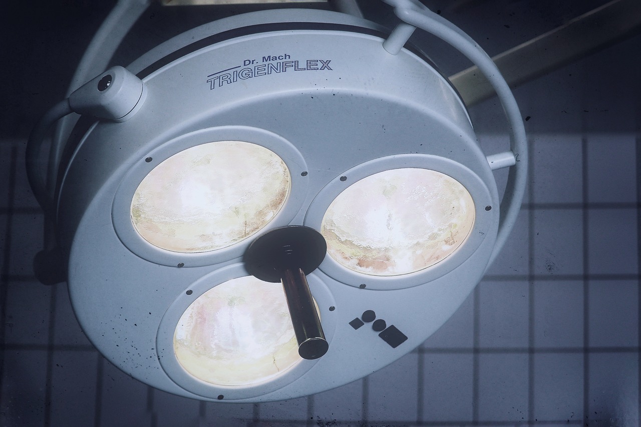 杏福桐庐宠物购买平台