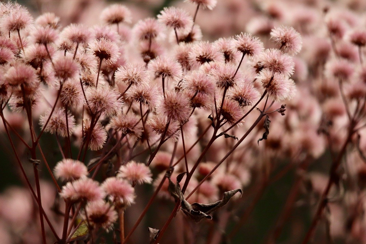 DDOS attack|如何在钉钉平台开户